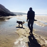 Wolf Restorations (@wolfrestoratio1) 's Twitter Profile Photo