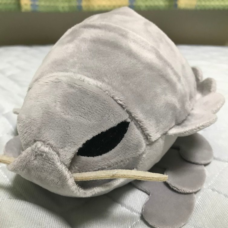 トーマさんのプロフィール画像