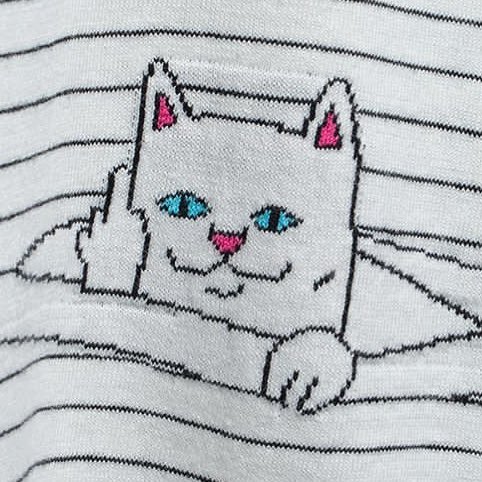 hasegagaw's profile picture. 取引垢。成人済み。kpop。