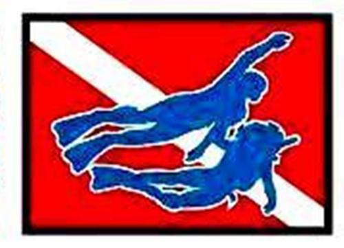 ibdivers's profile picture. We are a full service NAUI SCUBA dive center.  Our focus is on education with certifications up to instructor; we also offer various specialty courses.