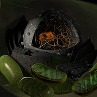 Johan Jakobsson (@jakobssonlab) 's Twitter Profile Photo Johan Jakobsson (@jakobssonlab) 's Twitter Profile Photo