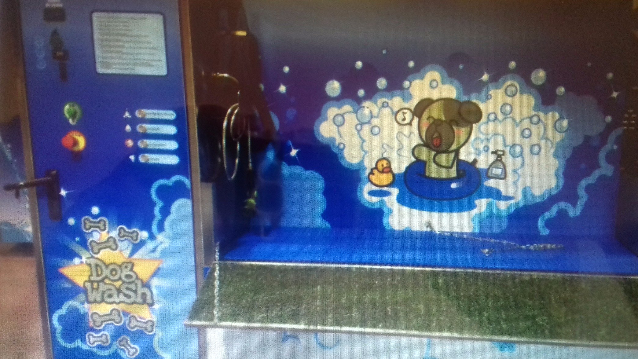 EstherF79795519's profile picture. #Lacavan express Spa . Centro Veterinario &, Exoticos.AutoLavado de Mascotas.Peluquería Canina/Felina Spa .
para tu https://t.co/o8glPocdOV



LAVACAN EXPRESS.