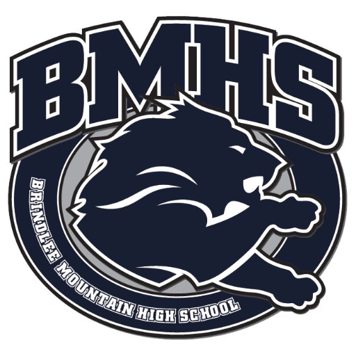 The official twitter account for Brindlee Mountain High School. Updates about atheltics, extra-curricular events, and school happenings.