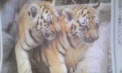 munetarou's profile picture. 最近ブログに凝ってるよ。　いろんな人と意見交換したいね。　よろしくです　Ｇao!