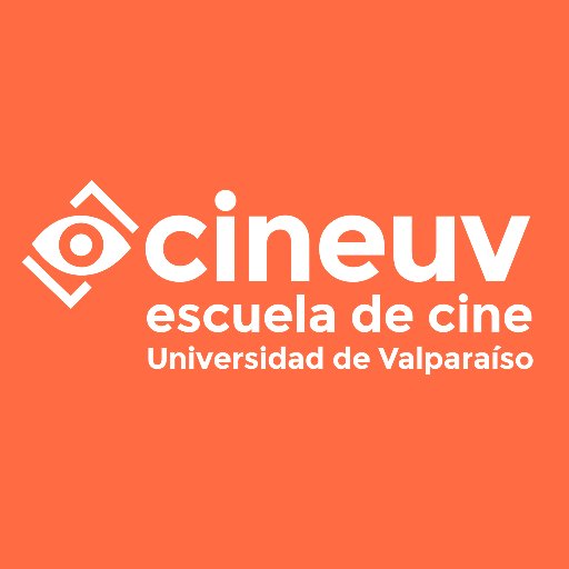 Escuela de Cine de la Universidad de Valparaíso. Desde 2003 ejerciendo la docencia en el ámbito cinematográfico y audiovisual.
Acreditada 6 años.