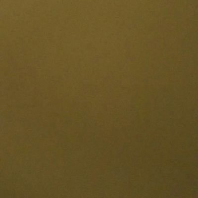 bagrodiaprathik's profile picture. 