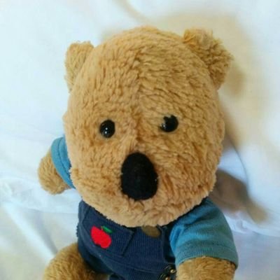 kanghoyasu's profile picture. 宝塚、ミュージカル大好き！
福岡で俳優とナレーターをやっています。

ねこさん大好き過ぎる、ねこばか。
ฅ^•ﻌ•^ฅ

★熊猫堂 ProducePandasを応援しています！
全員大好きで箱推し！
ʕ ᵔᴥᵔ ʔ

한국어 일상회화 OK!