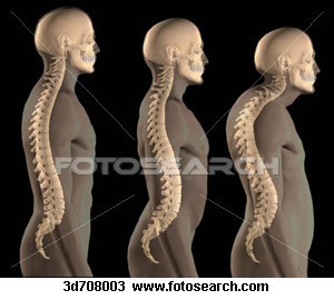 BIOOS_VERA56's profile picture. soy terapeuta alineo la coluna vertebral, evitando operaciones con una tecnica propia, rápida y efectiva en corto plazo y sobre todo económico.