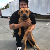 Nicholas Gutierrez (@unorthodox_iehc) 's Twitter Profile