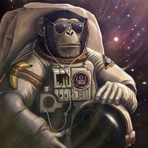 space_monkey_mafia