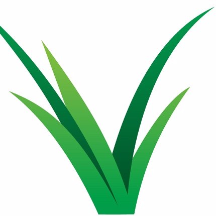 Vibrant Lawn Care can rescue and transform even the most neglected lawns in Kent! Give us a call for a no obligation lawn survey. 07957 941188