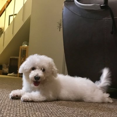 post-doc at Dartmouth college, computational biology, basketball, pingpong