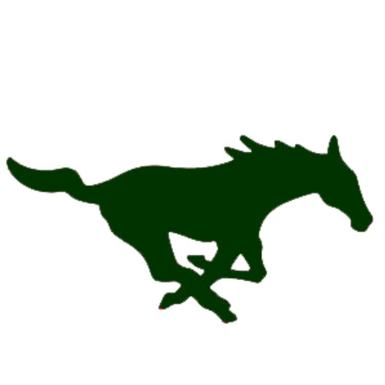 MUSTANGS_PA Profile Picture