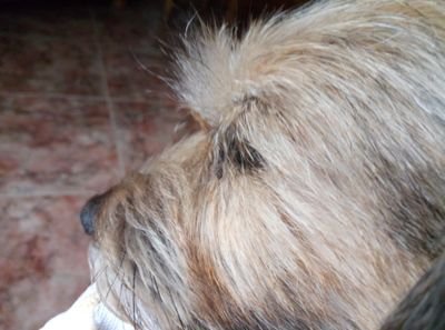 nereo_antonio's profile picture. 