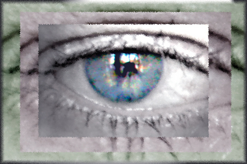 Photographe/.../.. Tweete peu et n'importe quoi ^ et ça n'engage que moi !