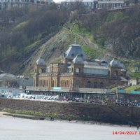 cliff cook (@cliffc100) 's Twitter Profile