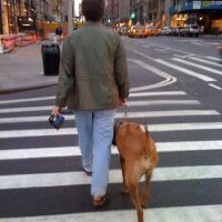 Kent Belden (@kentbelden) 's Twitter Profile