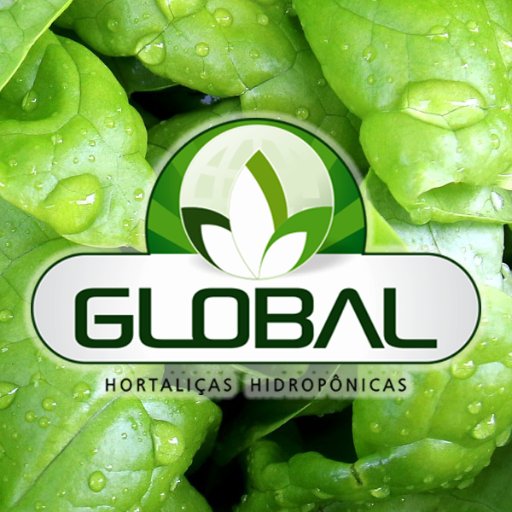 Produzimos hortaliças hidropônicas para o atacado e varejo.💧🌱
Cultivamos saúde para sua vida!
#VempraGlobalhortaliças
contato@globalhortalicas.com.br