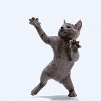 kimberlybutche2's profile picture. when the world cries and full of lies we all try just to get by we work so hard live by the card as times flies by we sit and wonder why