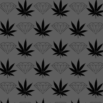 dpps_co's profile picture. 群馬 22