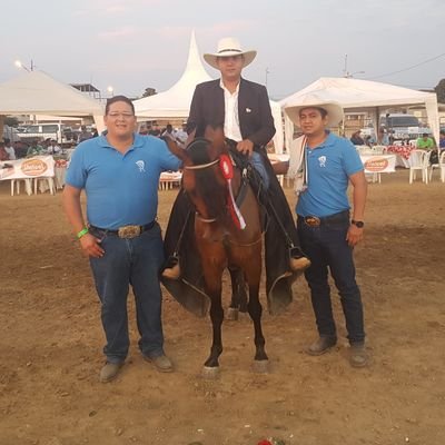 Soltero, joven y trabajador dedicado a la agricultura y aficionado a los caballos de paso colombianos deporte de preferencia el tenis