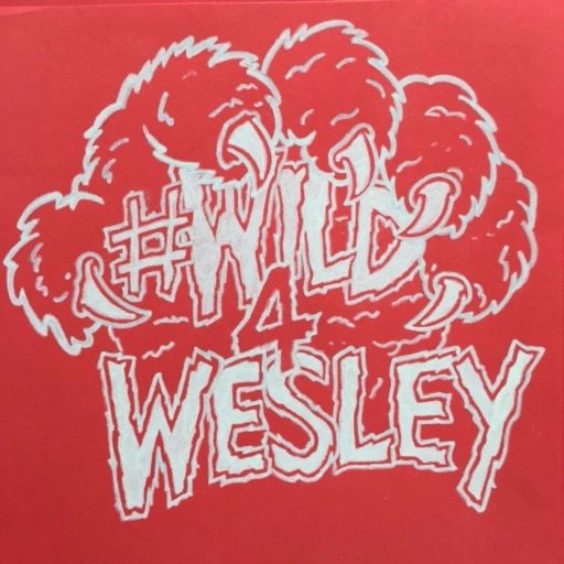 Welcome to the Wesley Elementary School Twitter Page. We are a little slice of heaven on the west side of Addison. Part of #ASD4ALL and always #Wild4Wesley.