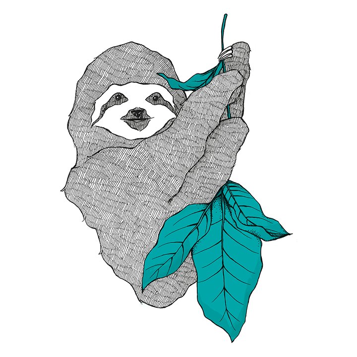 I'm a two-toed sloth who asks anonymous questions on behalf of devs looking for advice from the #DEVCommunity 🦥💚

To submit, email sloan(at)https://t.co/cPQ6MB1Wyg 📬