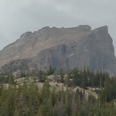 DCorn4s's profile picture. 