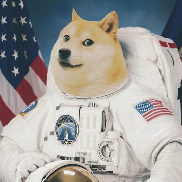 Just your everyday hecking crypto trading Shibe astronaut. Yes, that's a real pic of me.