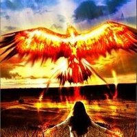 Phoenix Rising (@62walterp) 's Twitter Profile
