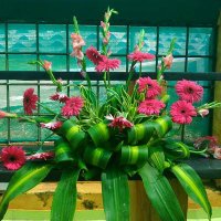 Revathi (@revathirev0806) 's Twitter Profile
