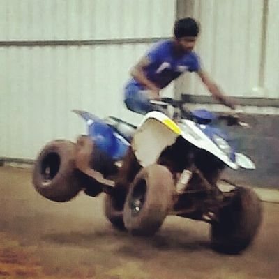 dharma736's profile picture. 