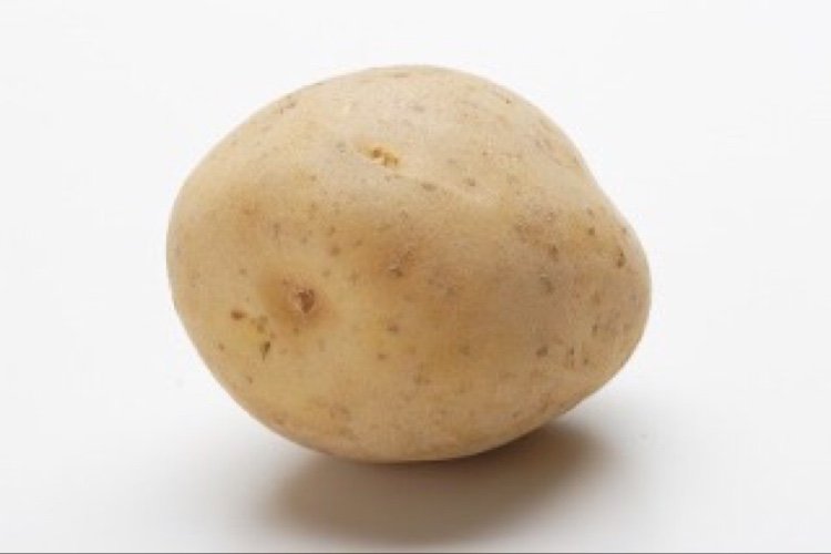 st_pote's profile picture. 自分で追い込むのが好きでも追いこまれるは嫌い