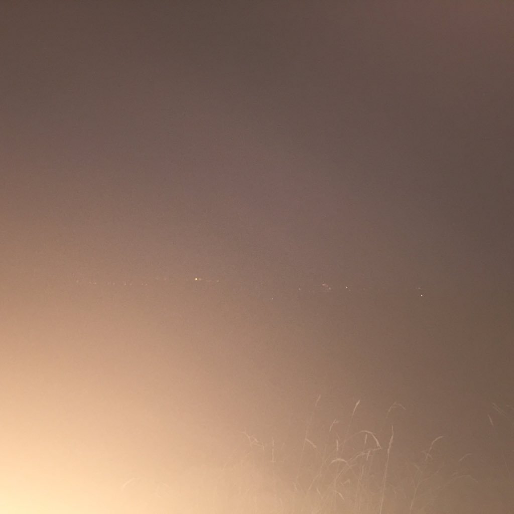 squirrel_blind's profile picture. 