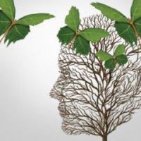 Sophie Ellis (@psych_sellis) 's Twitter Profile Photo