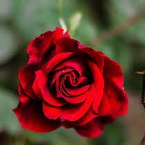 BntrakNet's profile picture. snp :bntrak1 فذكر ❤️               https://t.co/94uTFKPmCG