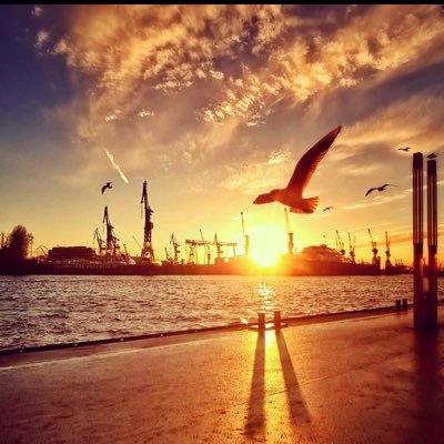 NtBc45's profile picture. 