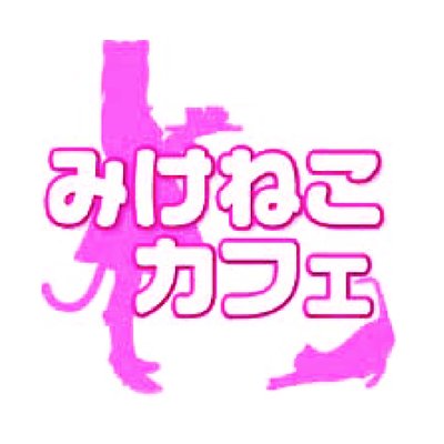 メイド喫茶みけねこカフェ《公式》 (@nekositujia) / X