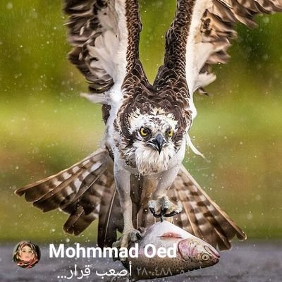 Love220Sadeer's profile picture. 