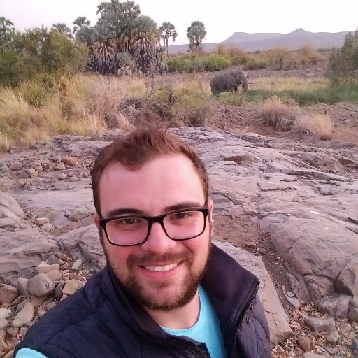 c_dihlmann's profile picture. Strategic Purchaser