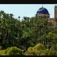 @FotosdeElche (@fotosdeelche) 's Twitter Profile Photo