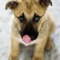 West Side Marketplace (@hopescloset2) 's Twitter Profile Photo