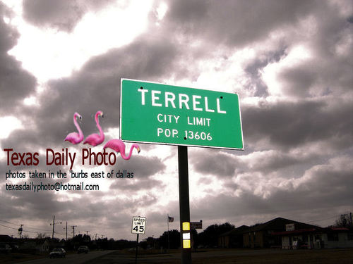 texasdailyphoto's profile picture. amateur photographer taking photos around terrell texas, east of dallas