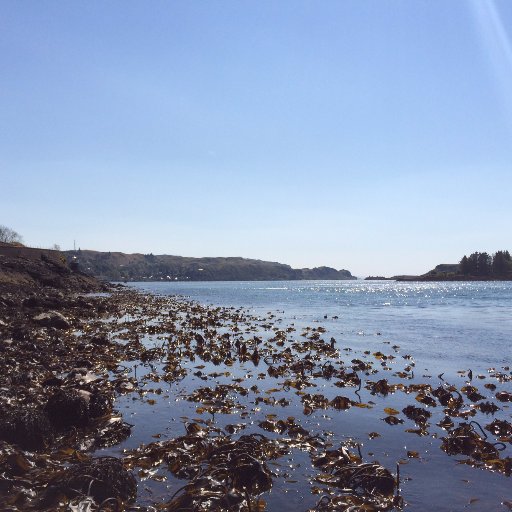 Marine ecologist. Climate change, kelp and shellfish diseases