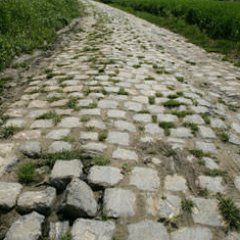 Pierre_CARREE's profile picture. Je ne tourne pas rond.    Info - Intox - Détox 
Sorti au 1er Tour #LFRFanFavouriteAccount19
Jeune pousse Team #AntenneVieux
COMPTE PARODIQUE