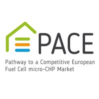 PACE (@pacemchp) 's Twitter Profile Photo