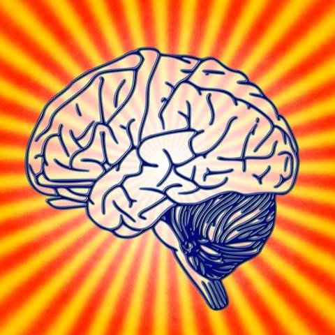NootropicsList's profile picture. We provide a directory of available nootropic vendors.