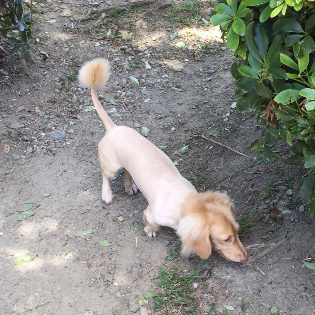 897matatasa's profile picture. ٩( 'ω' )و