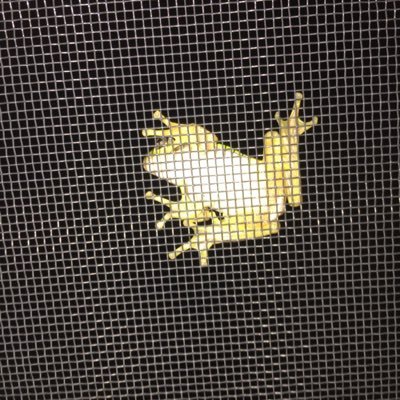 fymn203's profile picture. 主にスケベ絵をいいねするアカウントです、BLも含みます。グラブル救援垢も兼ねてます。