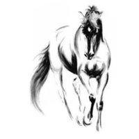 أفراح الشمري . (@w3bra0) 's Twitter Profile